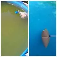 Poolcleaningbag